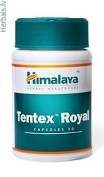 Kaufen Tentex Royal Ohne Rezept